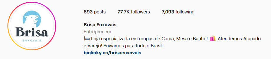 como vender mais pelo instagram - crie uma bio - brisa enxovais